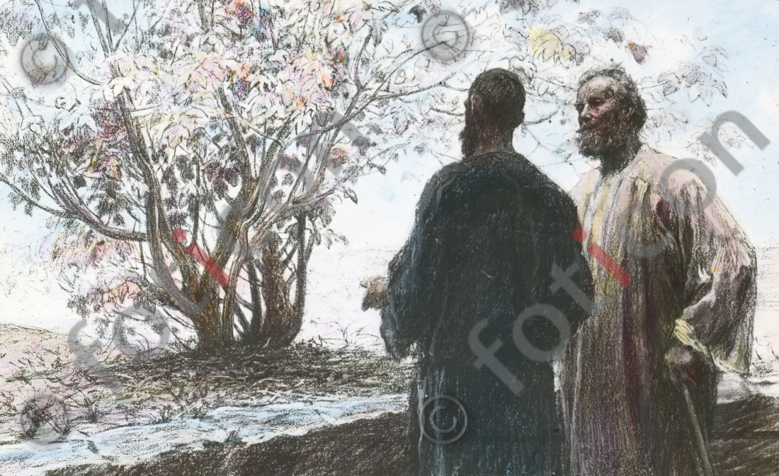 Gleichnis vom unfruchtbare Feigenbaum | Parable of the barren fig tree (foticon-simon-132030.jpg)